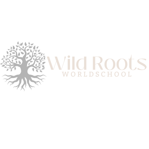Wild Roots Worldschool, Playa del Carmen, Mexico