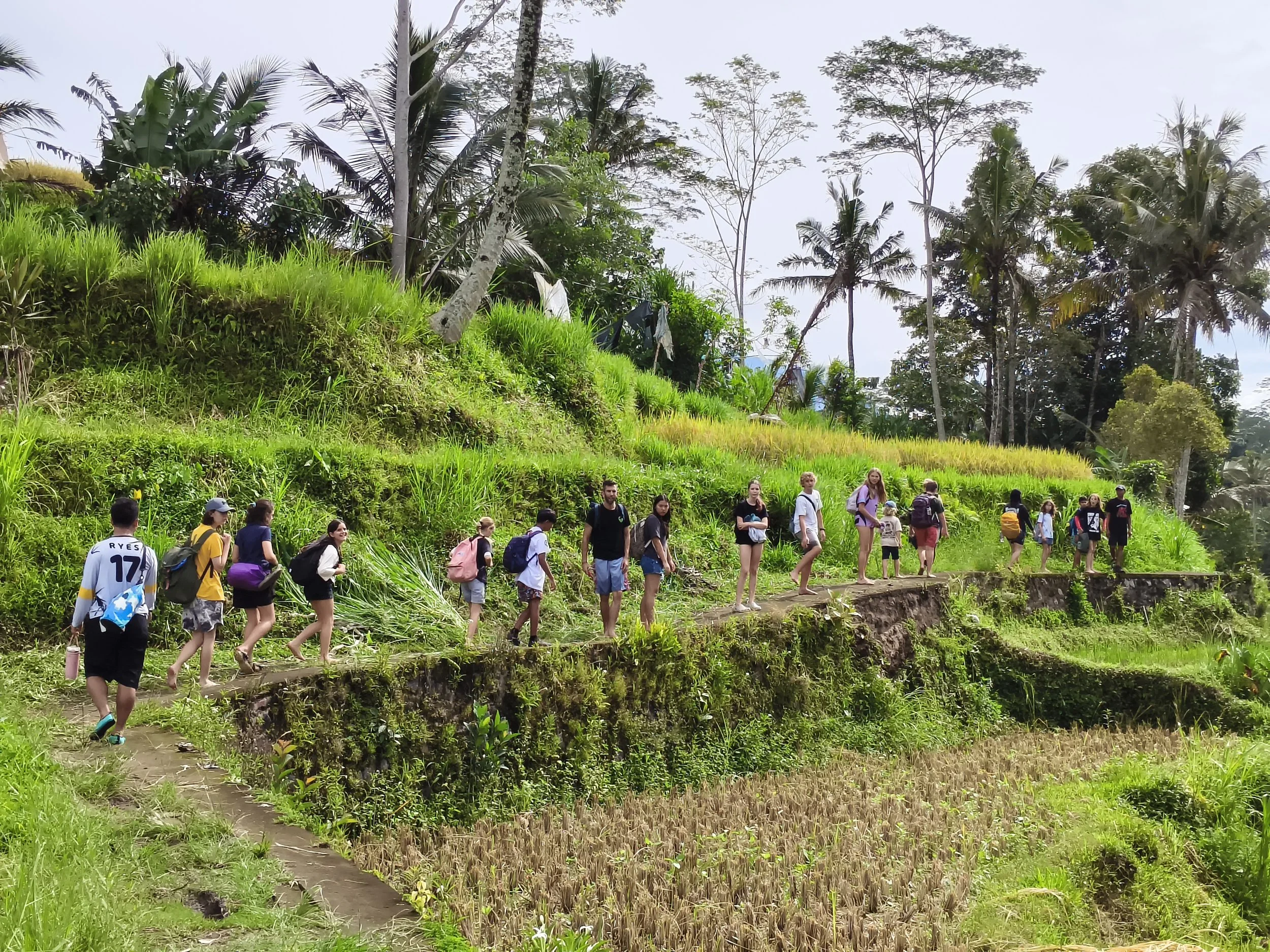 Future Human School Bali, Mas, Ubud, Indonesia