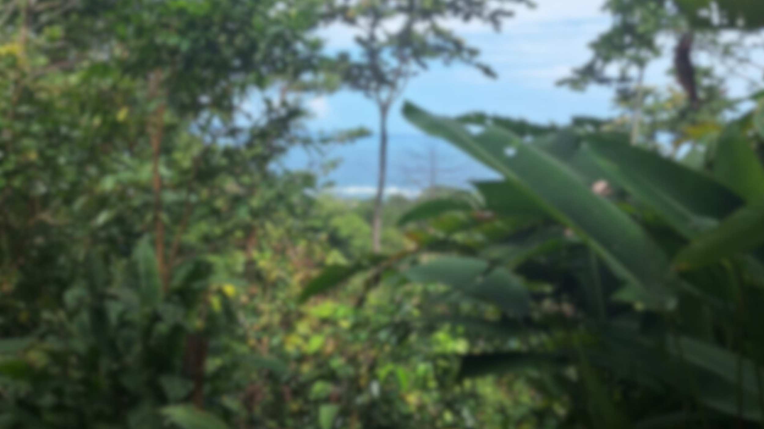 Cacao Coast CR, Talamanca Canton, Costa Rica