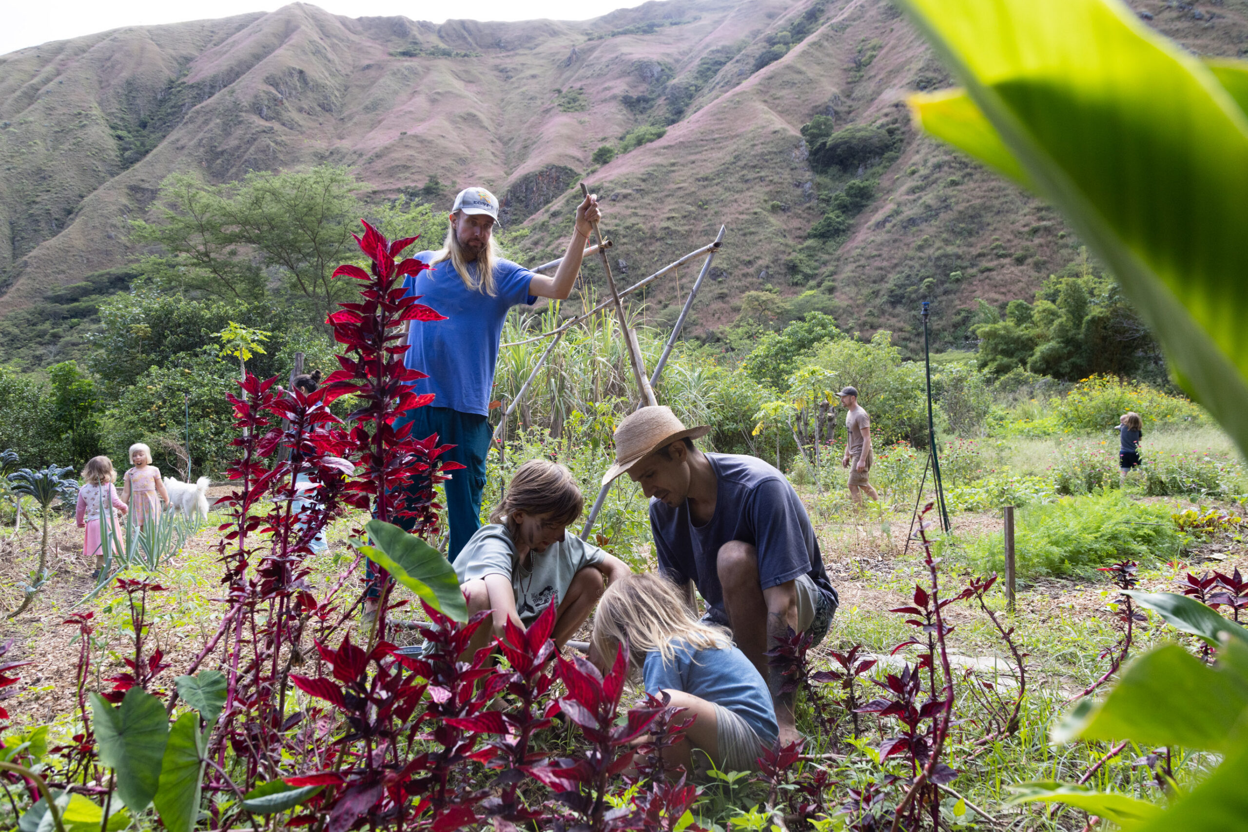 Finca Sagrada, Vilcabamba, Ecuador