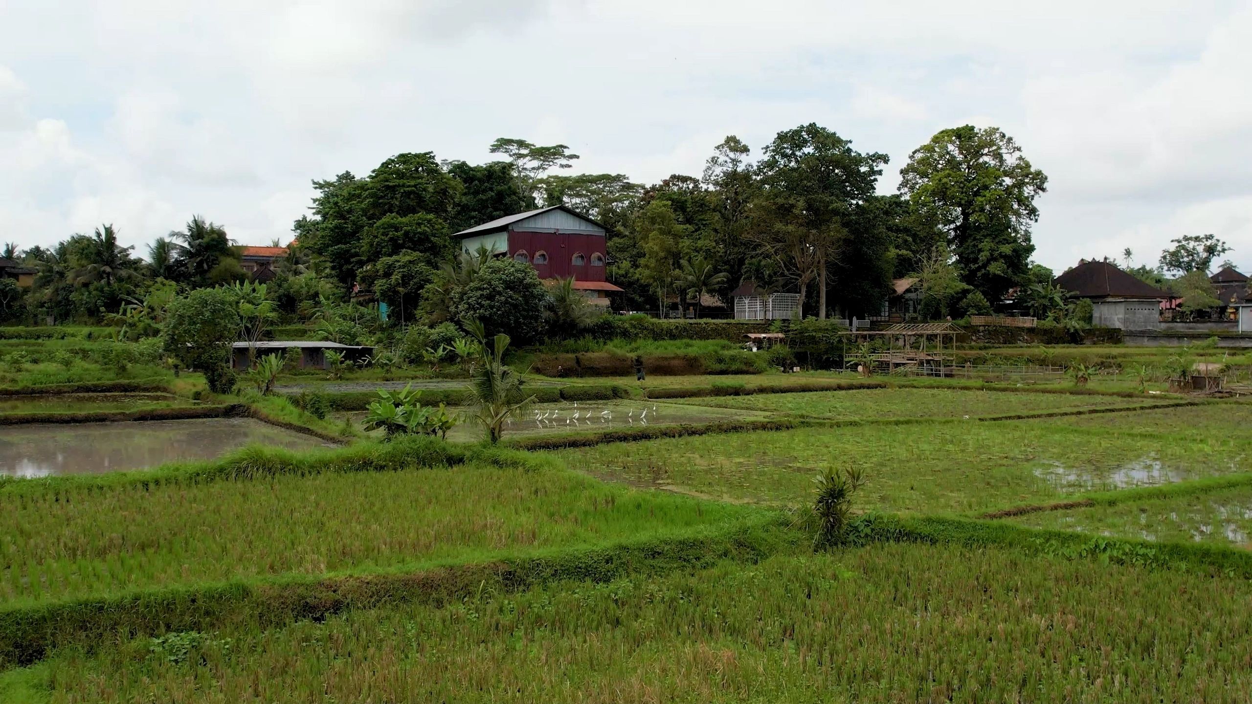 Wood School Bali, Pejeng, Indonesia